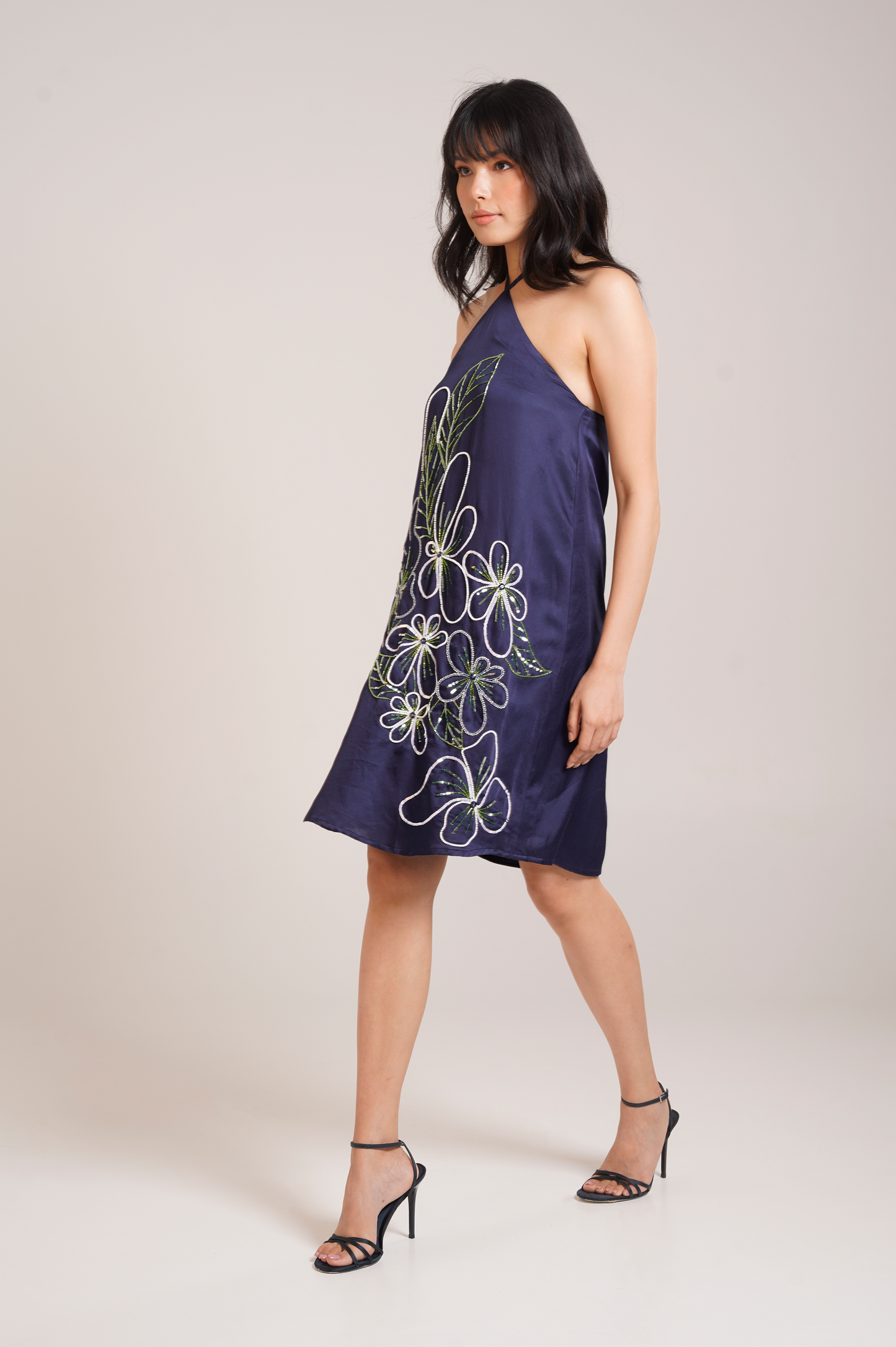 Ren Embroidered Dress